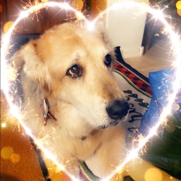 Meet your Posher, Lisa - Picture 1 of 1